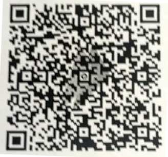 UPI QR Code